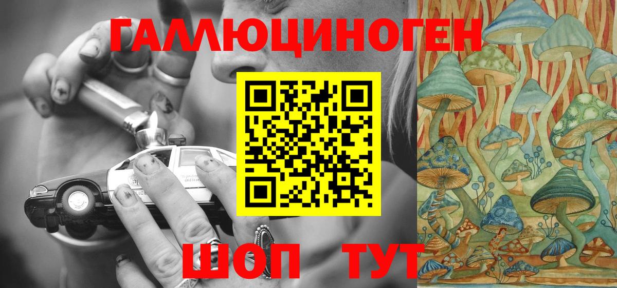 Борзя  Псилоцибиновые грибы Cubensis  Вход с VPN 