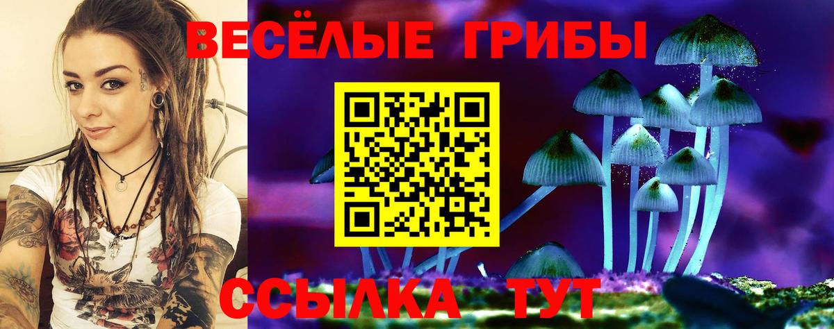 Псилоцибиновые грибы Psilocybine cubensis Борзя